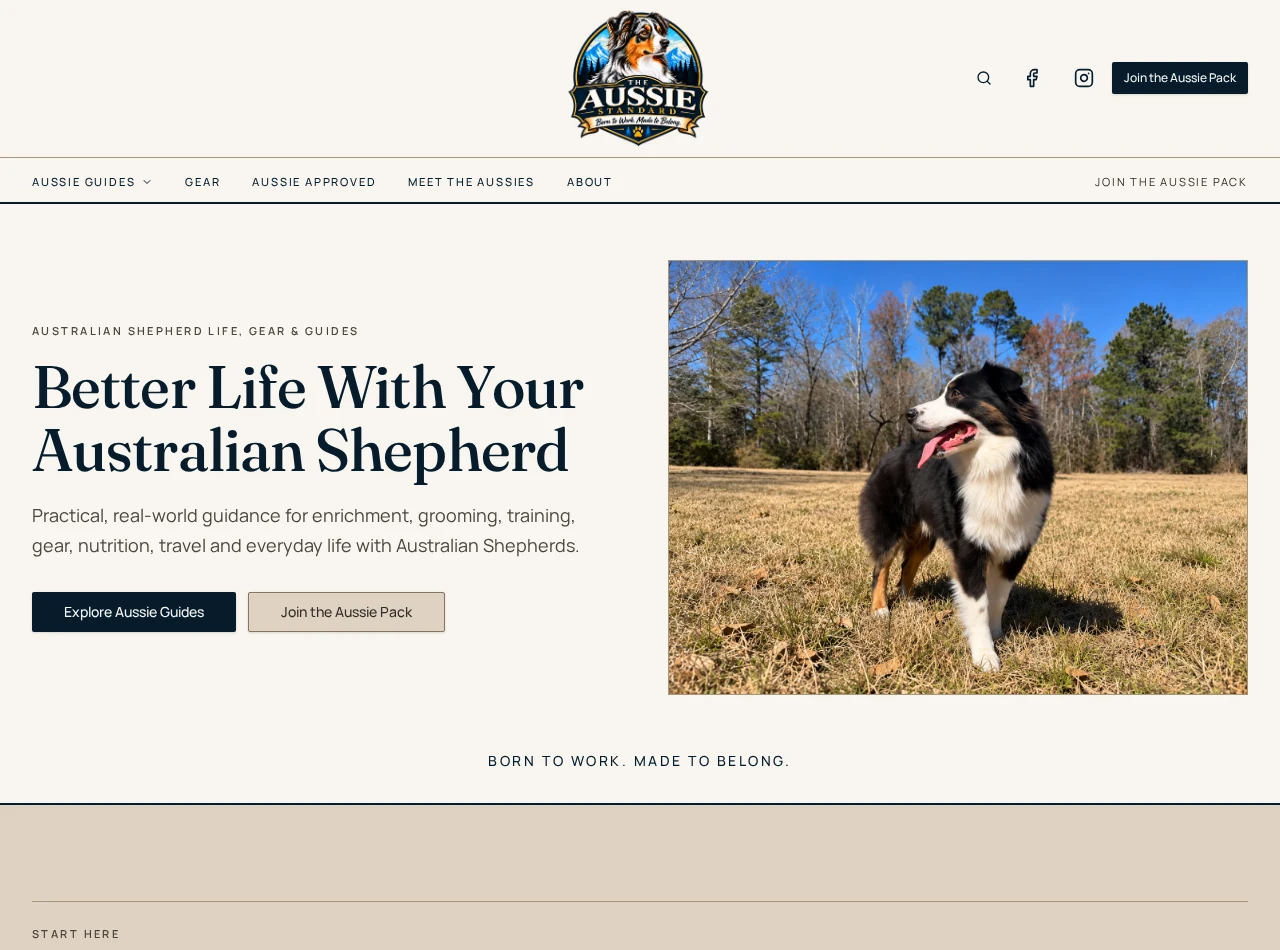 The Aussie Standard homepage showing Australian Shepherd guides and featured content